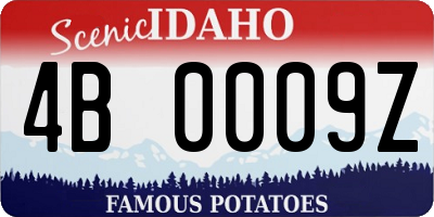 ID license plate 4B0009Z