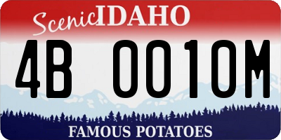 ID license plate 4B0010M