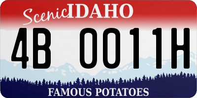 ID license plate 4B0011H