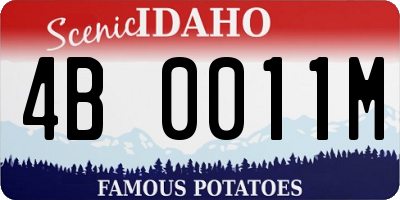ID license plate 4B0011M