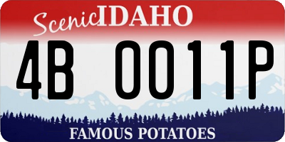 ID license plate 4B0011P