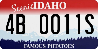 ID license plate 4B0011S