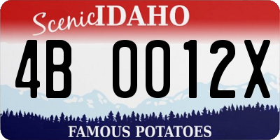 ID license plate 4B0012X