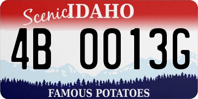 ID license plate 4B0013G