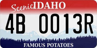 ID license plate 4B0013R