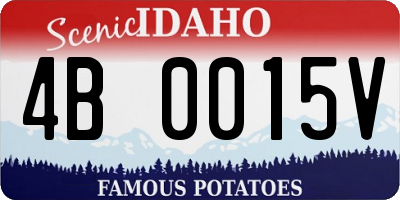 ID license plate 4B0015V
