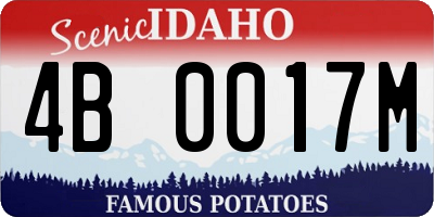 ID license plate 4B0017M