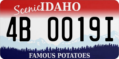 ID license plate 4B0019I