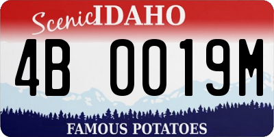 ID license plate 4B0019M