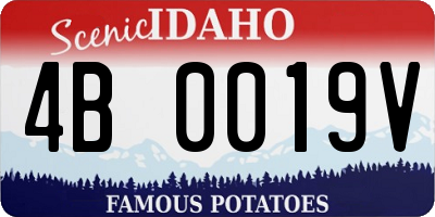 ID license plate 4B0019V