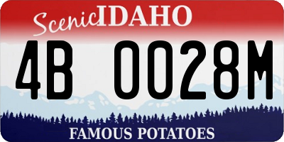 ID license plate 4B0028M