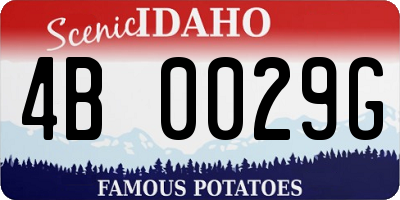 ID license plate 4B0029G