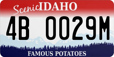 ID license plate 4B0029M