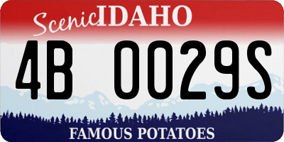 ID license plate 4B0029S