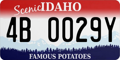 ID license plate 4B0029Y