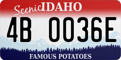 ID license plate 4B0036E