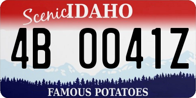 ID license plate 4B0041Z