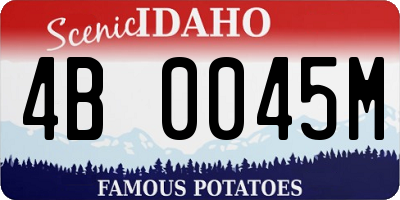 ID license plate 4B0045M
