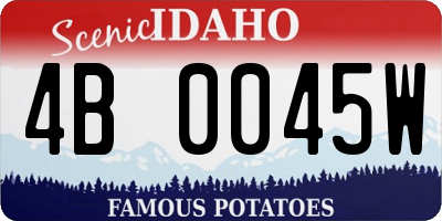 ID license plate 4B0045W