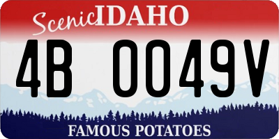 ID license plate 4B0049V