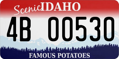 ID license plate 4B0053O
