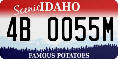 ID license plate 4B0055M