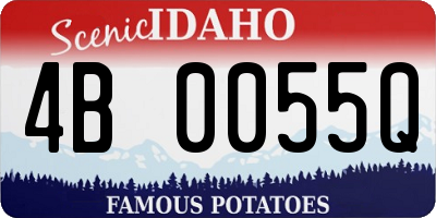 ID license plate 4B0055Q