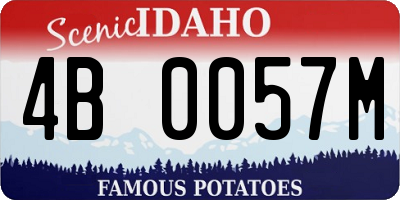 ID license plate 4B0057M