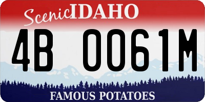 ID license plate 4B0061M