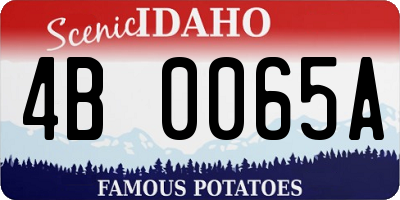 ID license plate 4B0065A