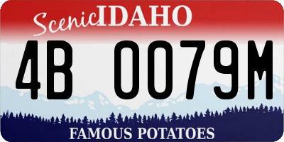 ID license plate 4B0079M