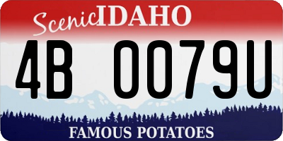 ID license plate 4B0079U