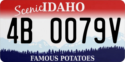 ID license plate 4B0079V