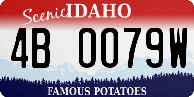 ID license plate 4B0079W