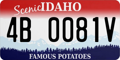 ID license plate 4B0081V