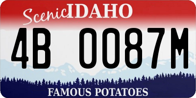 ID license plate 4B0087M