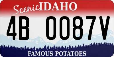 ID license plate 4B0087V