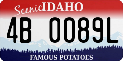ID license plate 4B0089L