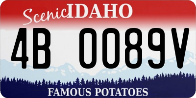 ID license plate 4B0089V