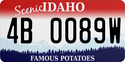 ID license plate 4B0089W