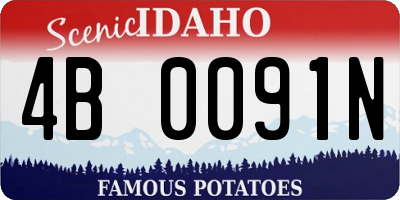 ID license plate 4B0091N