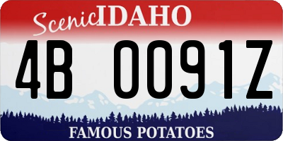 ID license plate 4B0091Z