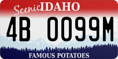 ID license plate 4B0099M