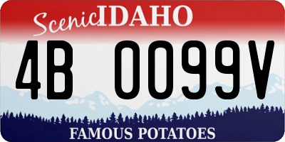 ID license plate 4B0099V