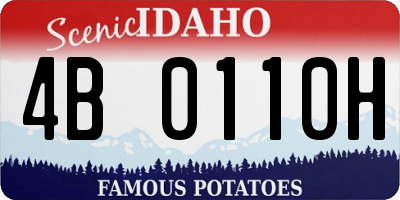 ID license plate 4B0110H