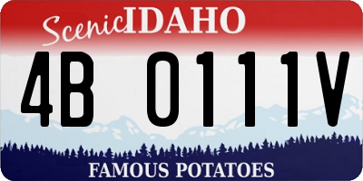 ID license plate 4B0111V