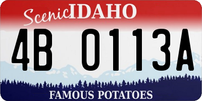 ID license plate 4B0113A