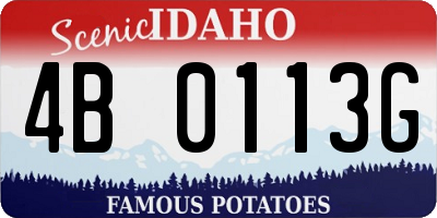 ID license plate 4B0113G