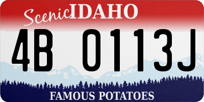 ID license plate 4B0113J