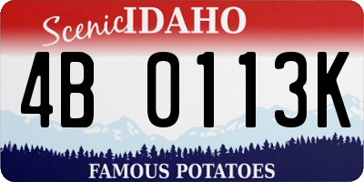 ID license plate 4B0113K